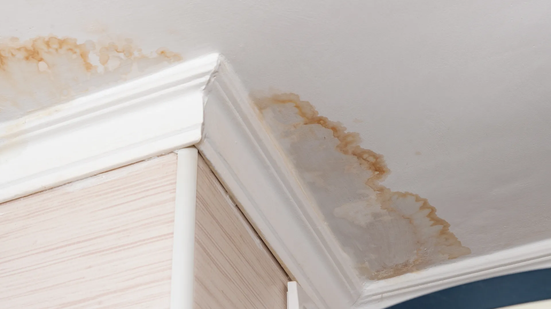 Poor weathertightness leading to ceiling discolouration in Auckland home