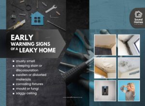 Signs of leaky home - discolouration on a ceiling.
